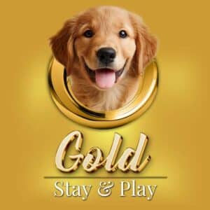 Gold Stay and Play package